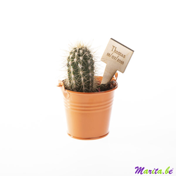 cactus dans un pot orange avec label gravé avec prénom et date de naissance