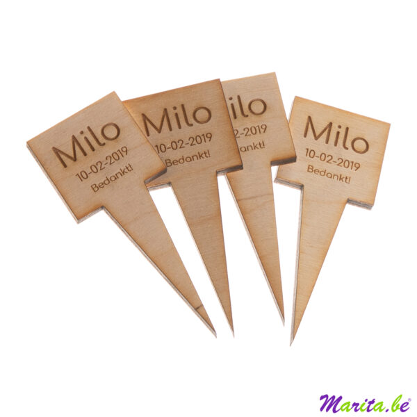 Set van houten plantenprikkers Milo