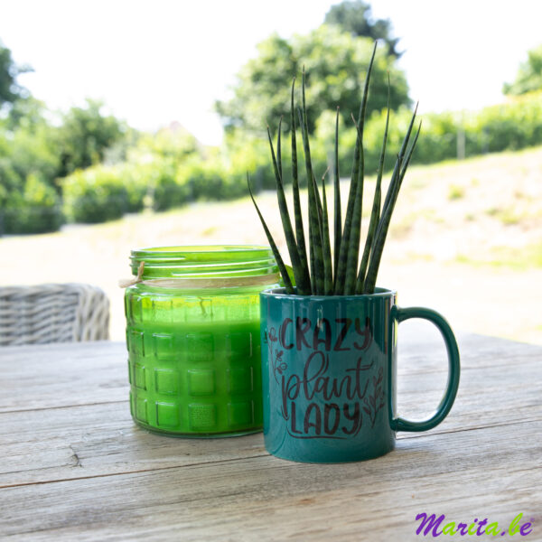 mug vert, imprimé pour les amoureux de plantes