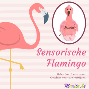 Sensorische flamingo